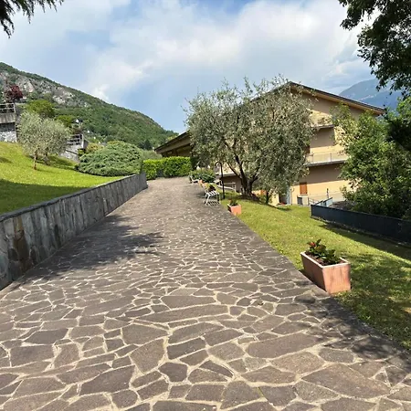 Vista *